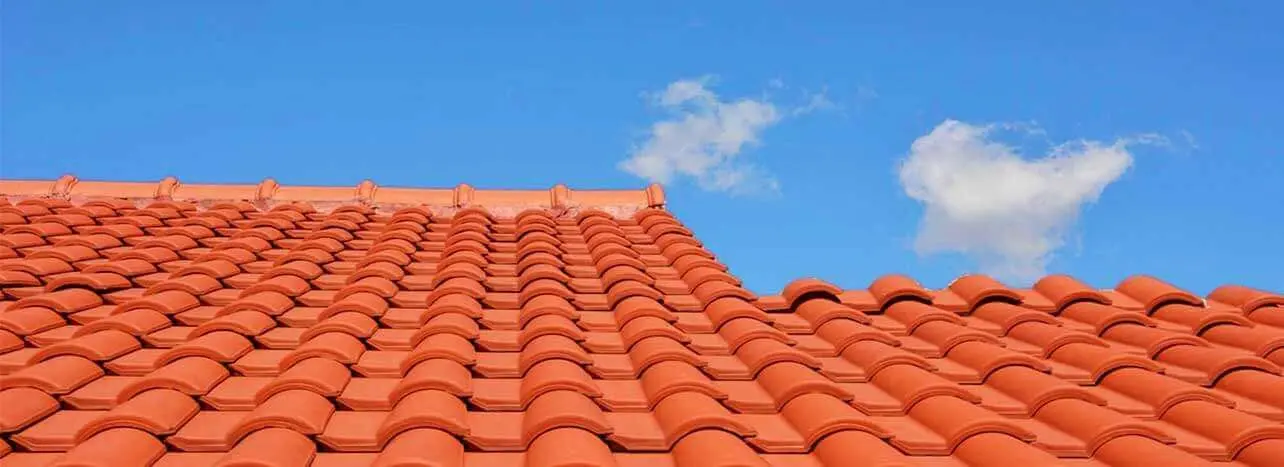 démoussage de toiture