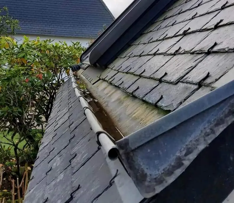 nettoyage des gouttières par des professionnels