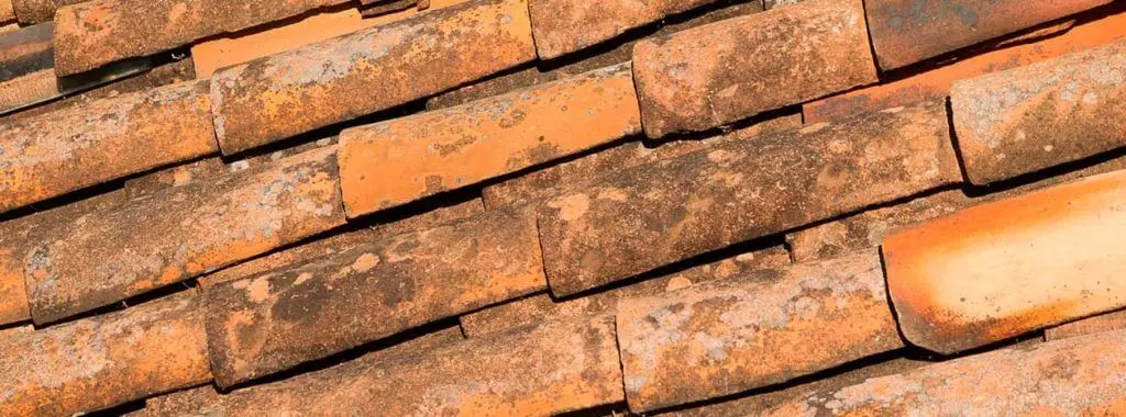 traitement ANTI MOUSSE de toiture