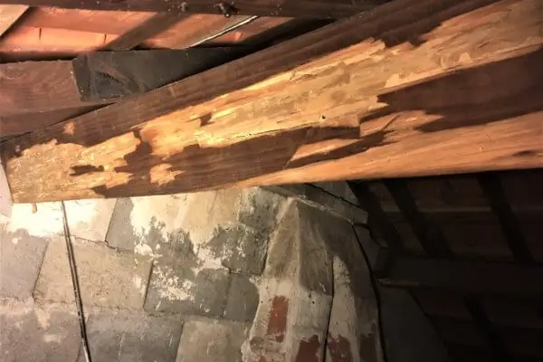 TRAITEMENT DE CHARPENTE BOIS NANTES ATRIOME