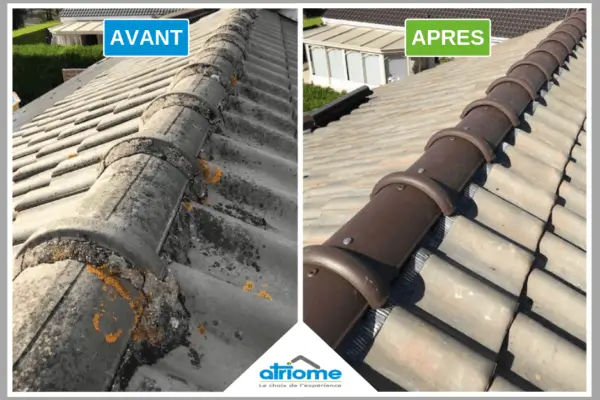 rénovation de faitage de toiture 91atm