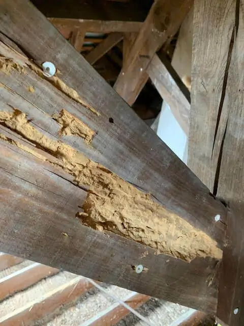 traitement de bois de charpente evry essonne atriome