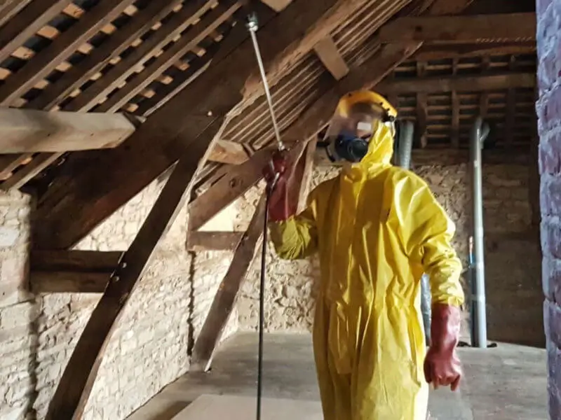 traitement de charpente en bois Atriome
