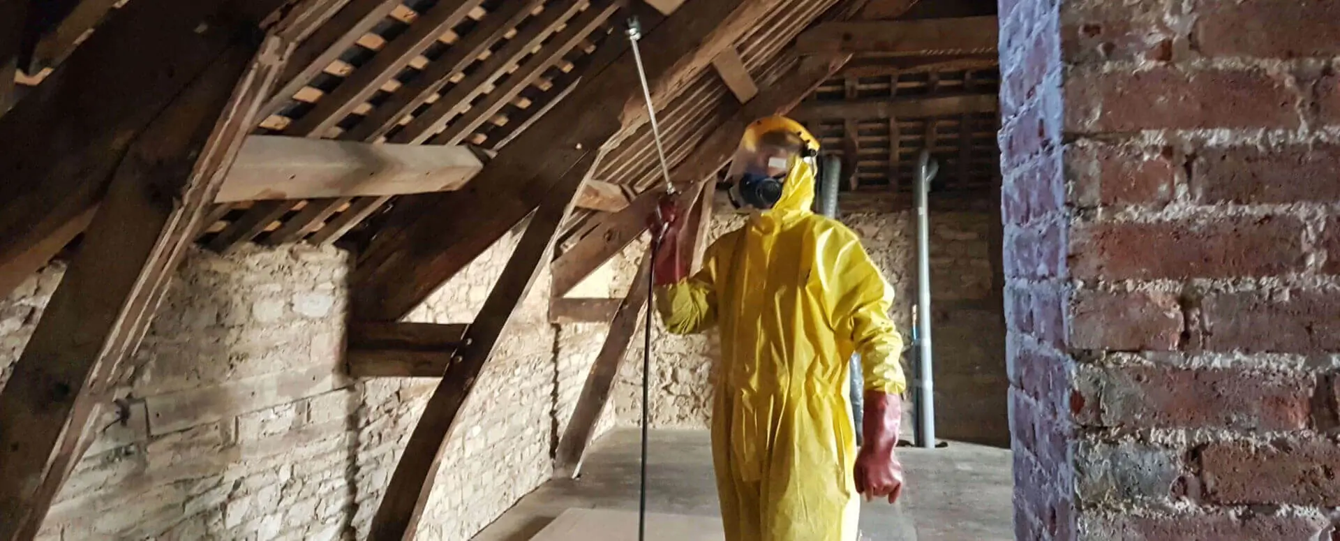 traitement de charpente en bois Atriome