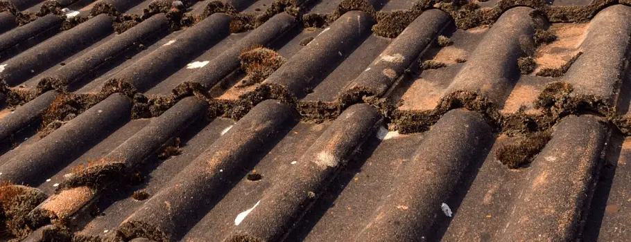 35 ATM, entreprise de nettoyage de toiture à Rennes - Atriome