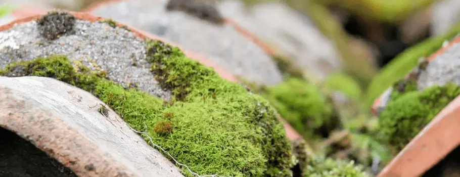 52 ATM, entreprise de démoussage de toiture à Saint-Dizier 