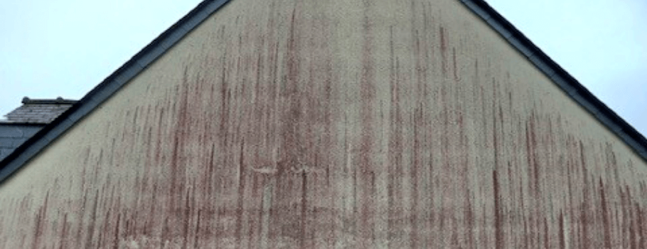 Comment nettoyer la façade des trainées noires, traces rouges et taches  vertes ? - Guard Industrie