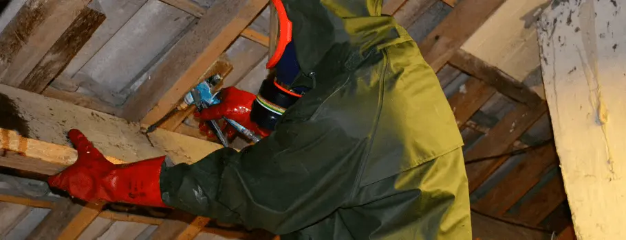 Comment protéger et traiter la charpente contre les insectes à larves xylophages à Meyreuil ? - Atriome