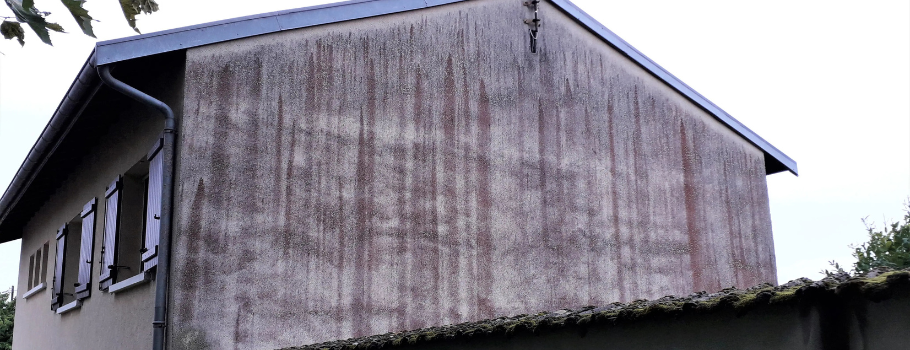 Comment retirer les algues rouges sur la façade de sa maison ?