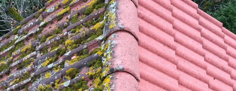 Les étapes d’un traitement de toiture à Caen dans le Calvados 