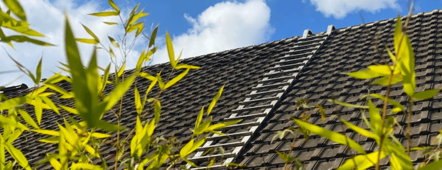 Rénover votre toit grâce au traitement hydrofuge de toiture coloré ou incolore 