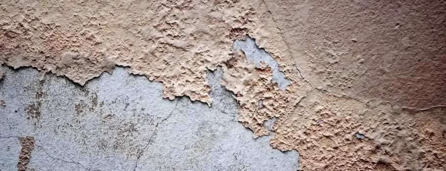 Tout savoir sur la protection des murs intérieurs contre l’humidité