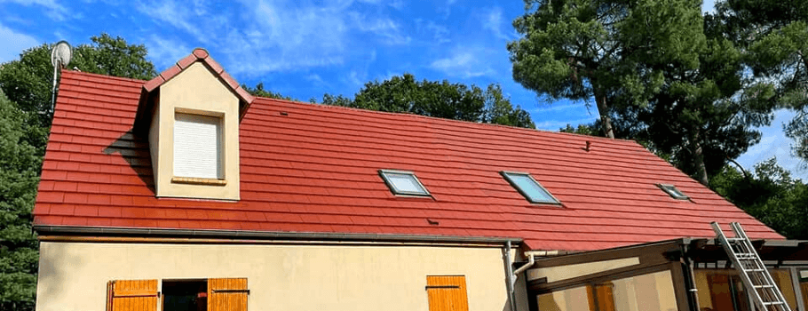 Nettoyage toiture Lyon et dans le Rhône (69)