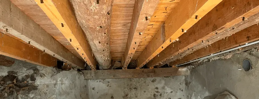 Traitement de charpente à Avignon 