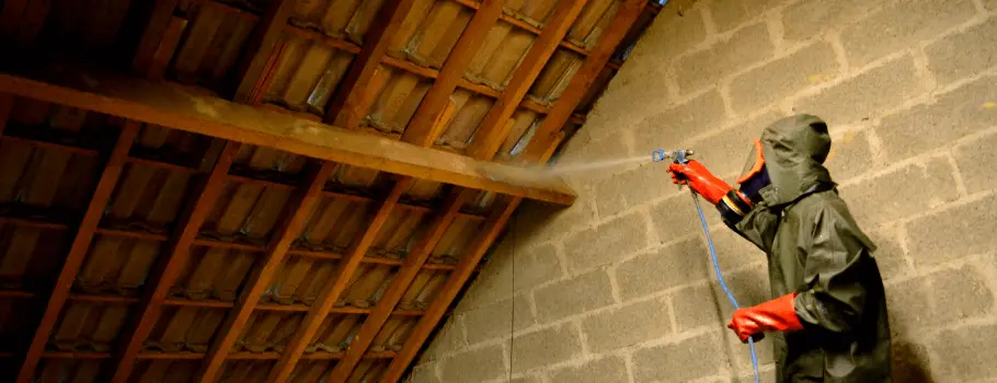 Traitement de charpente à Lyon - Atriome