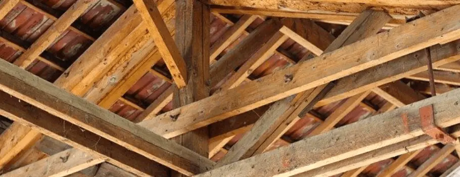 Traitement de charpente à Toulon - Atriome