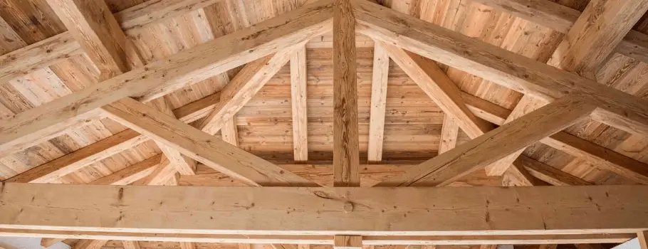 Traitement de charpente en bois : tout ce qu’il faut savoir 