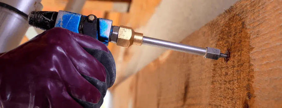 Traitement de charpente et poutre : prévention et protection