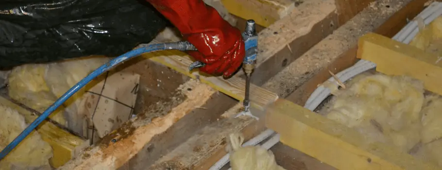 Traitement du bois de charpente préventif et curatif - Atriome