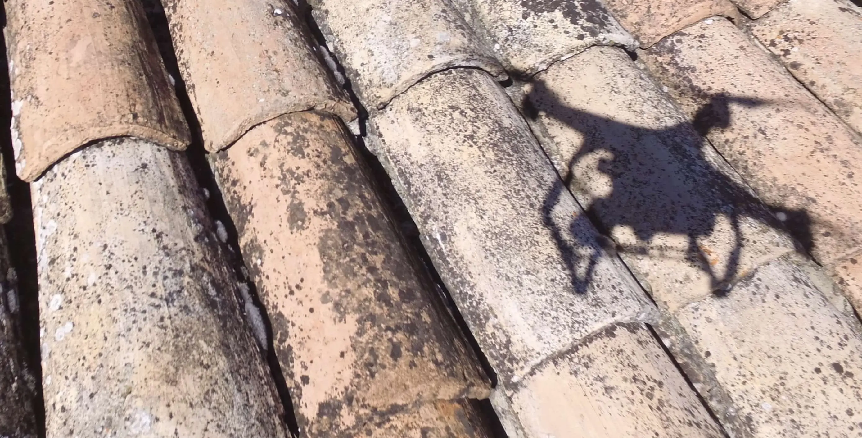 Inspection et contr&ocirc;le de toiture par drone 