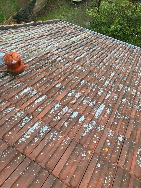 demoussage et nettoyage de toiture avec hydrofuge incolore 91atm (4)