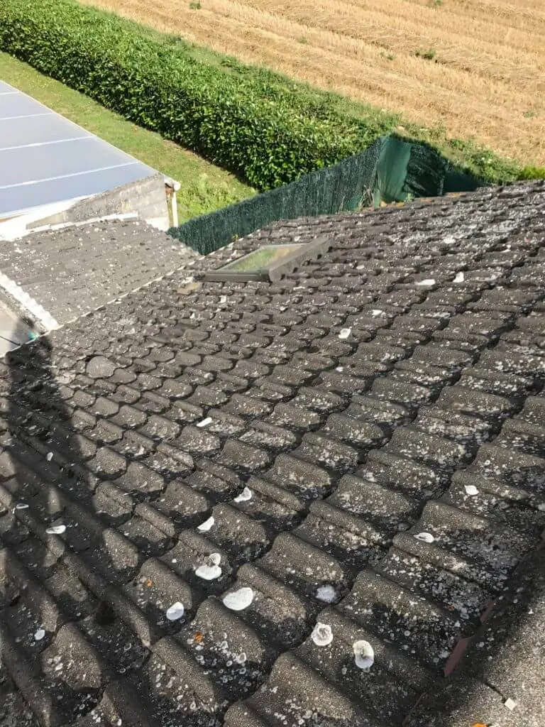 avant traitement hydrofuge et demoussage de toiture essonne atriome