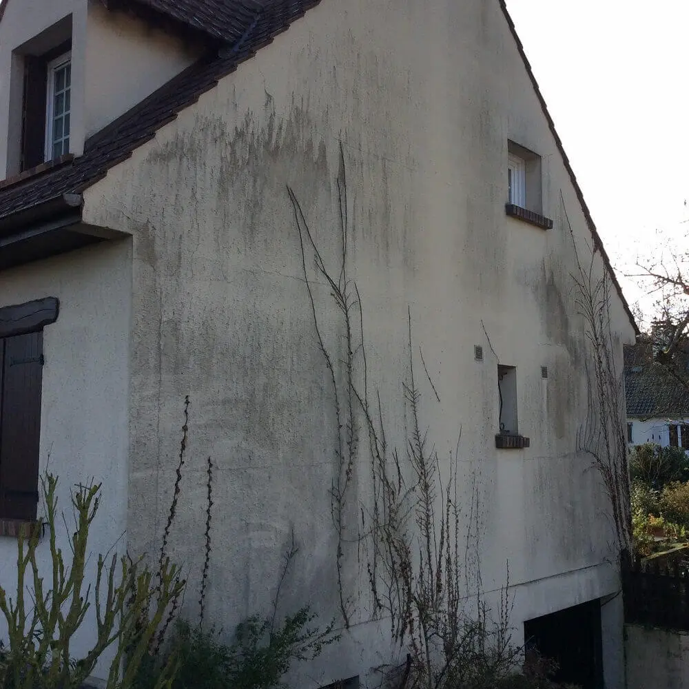 Nettoyage et hydrofuge de façade de maison