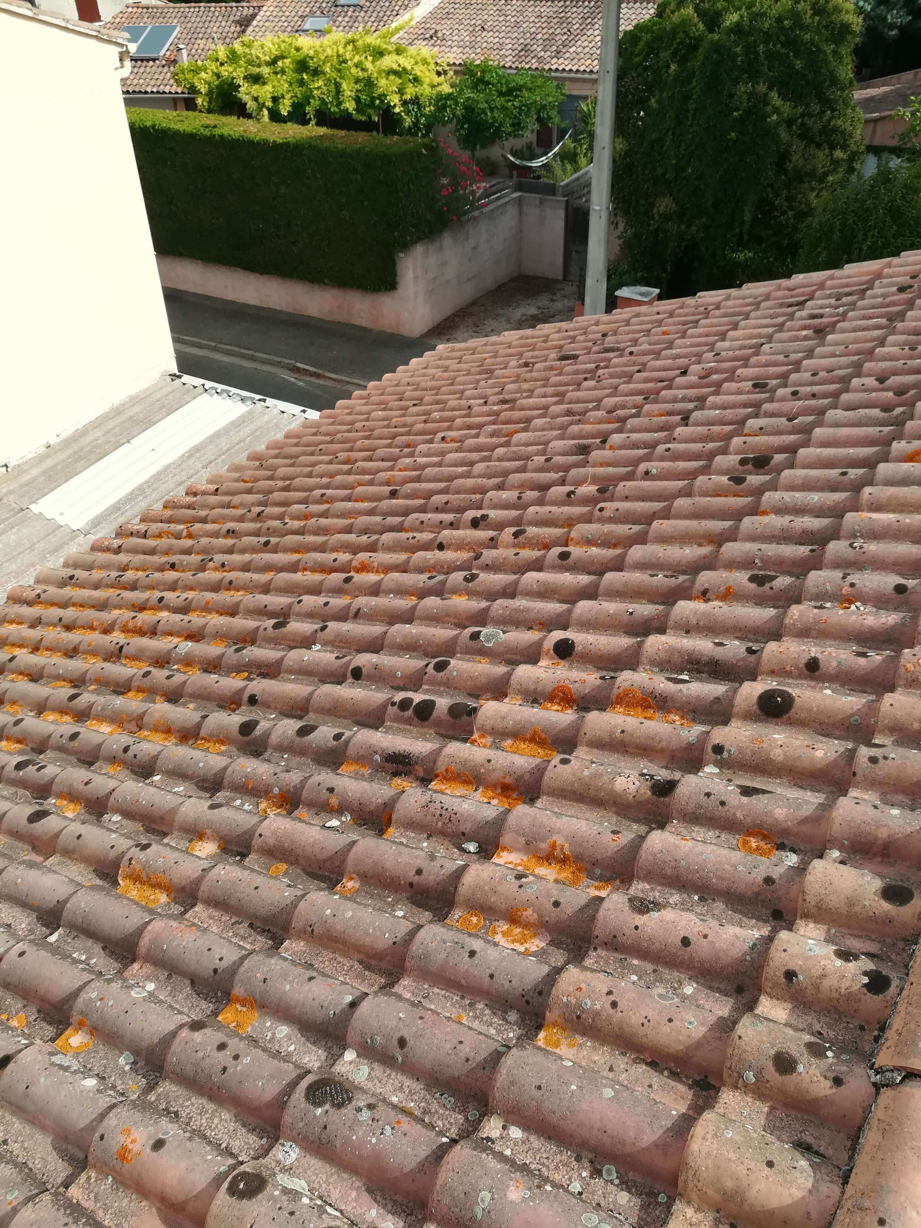 entretien mousse toiture avignon